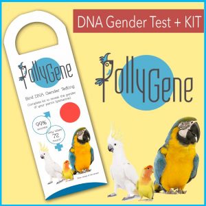 Kit de Sexado de Aves Pollygene