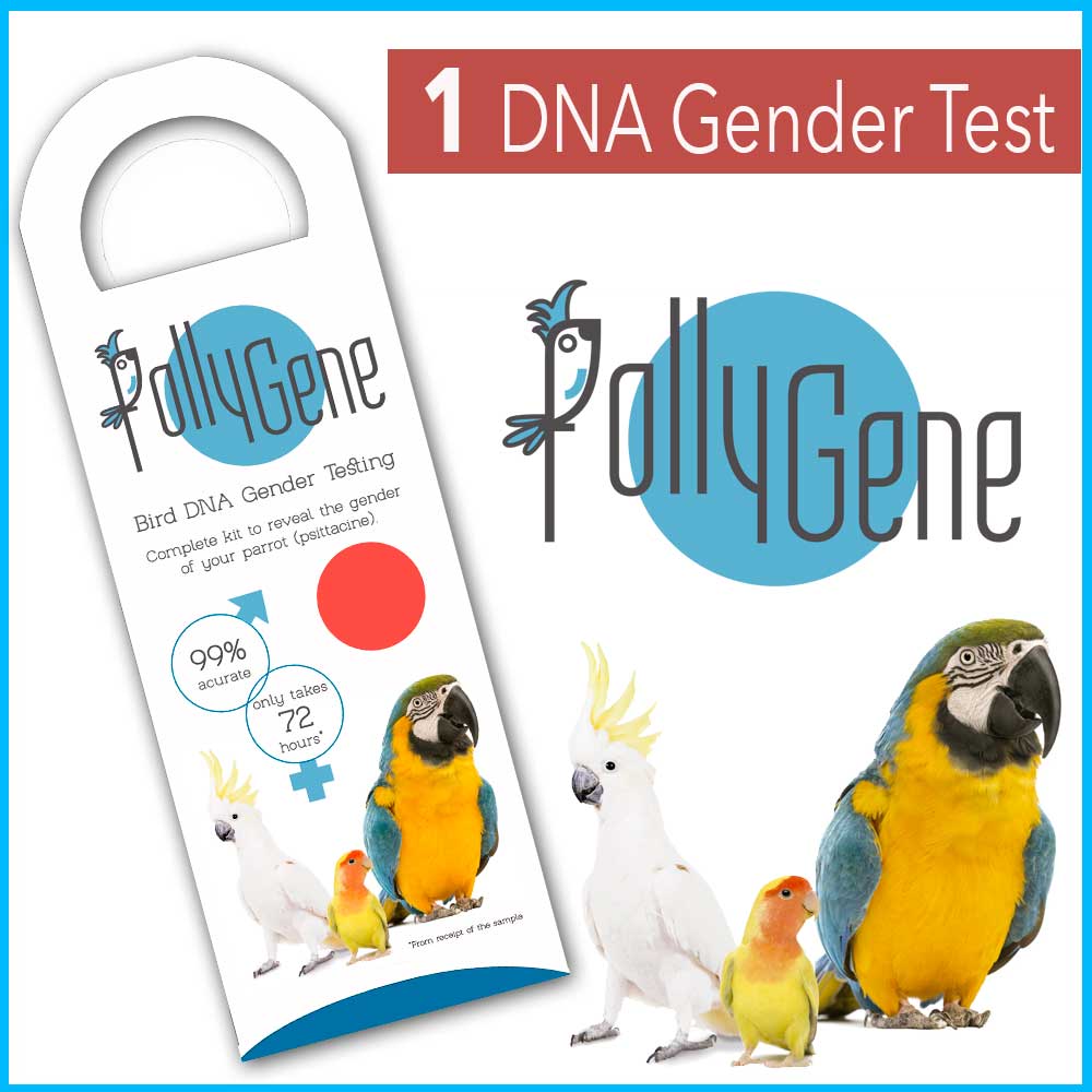 1-dna-gender-test-kit-pollygene