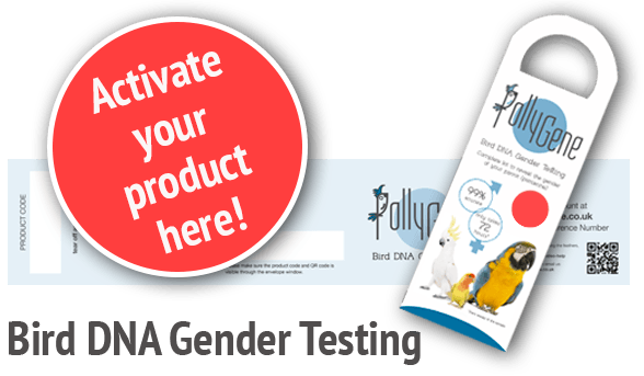 activate-dna-gender-test