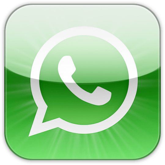 Whatsapp Icon Pollygene