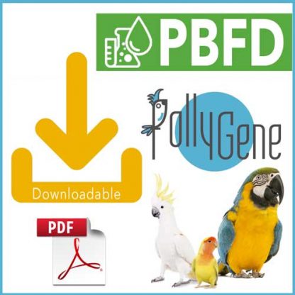 PBFD Psittacine beak feather disease Pollygene