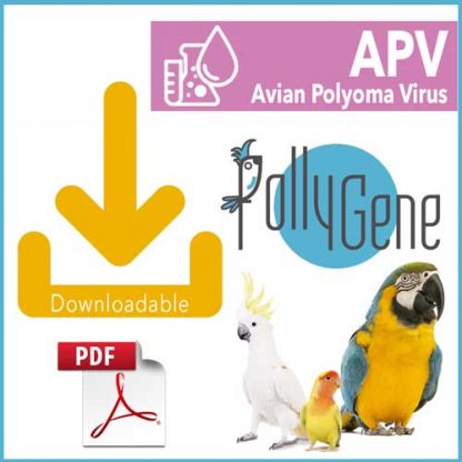 Avian Pollyomavirus APV - Pollygene
