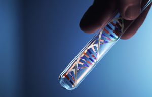 DNA GENDER TEST PARROTS
